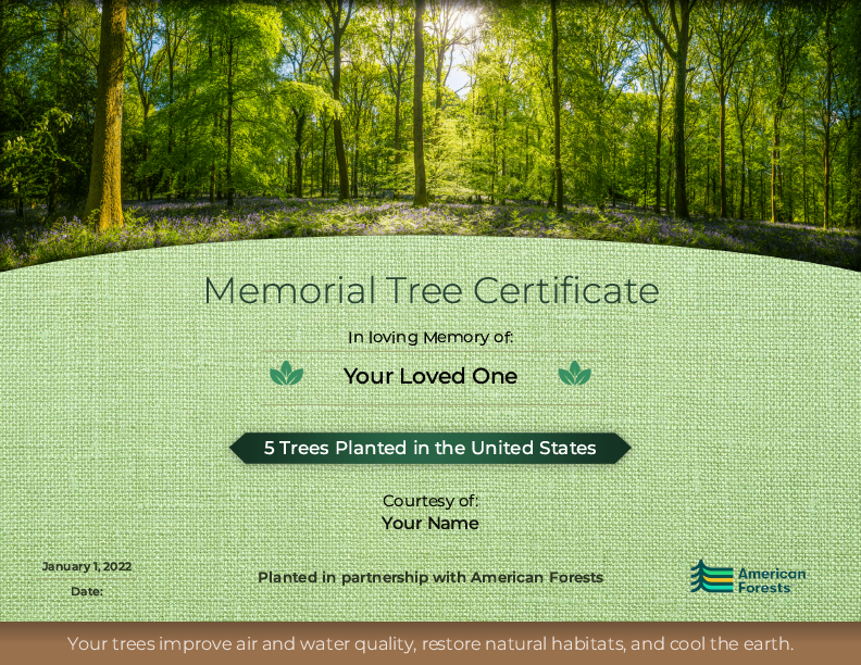 Plant Trees in Memory of Your Loved One