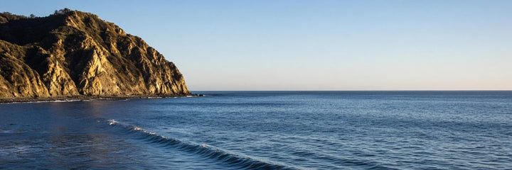 Rocky coastal headland lit by late afternoon sun with open ocean and a low swell running offshore, near where a San Diego yacht memorial release would take place
