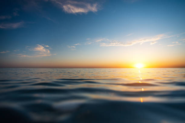 A Serene Farewell: The Benefits of Renting a Yacht Charter Through Maritime Burials in San Diego